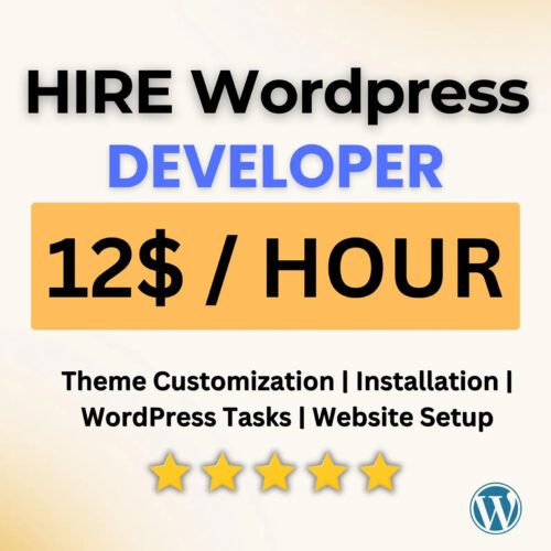 Hire a WordPress Developer